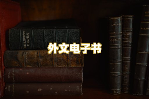 外文电子书